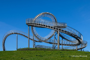 Duisburg (Tiger and Turtle)