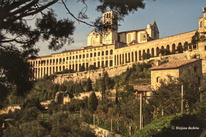 Die besondere Auswahl