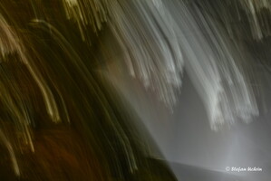 Die besondere Auswahl