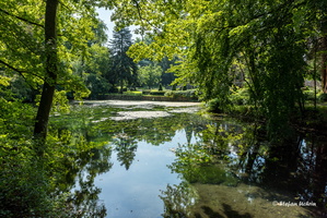 In der Erftniederung