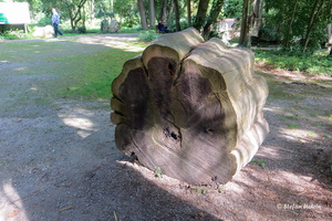 In der Erftniederung