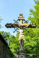 In der Erftniederung